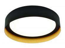 AFX Lighting, Inc. RVF121400L30D2BKGD - Reveal 12" LED Flush Mount