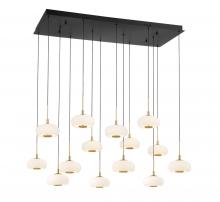 Lib & Co. US 10200-02 - Adelfia, 14 Light Rectangular LED Chandelier, Matte Black