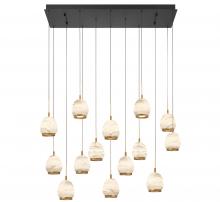 Lib & Co. US 12142-02 - Lucidata, 14 Light Rectangular LED Chandelier, Matte Black