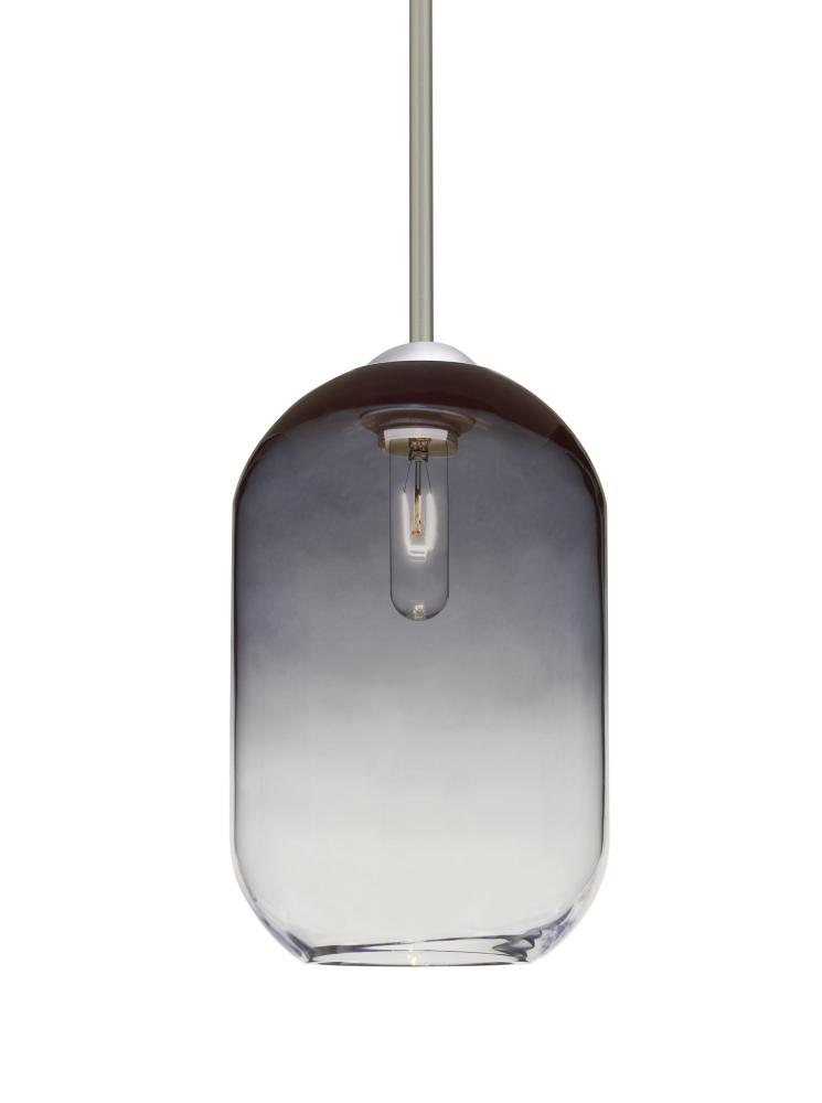 Besa, Omega 12 Stem Pendant,Steel/Clear, Satin Nickel Finish, 1x60W Medium Base