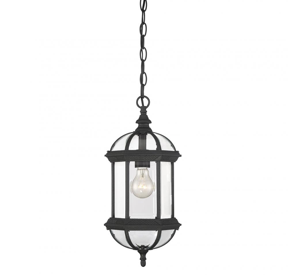 Kensington 1-Light Outdoor Hanging Lantern in Textured Black