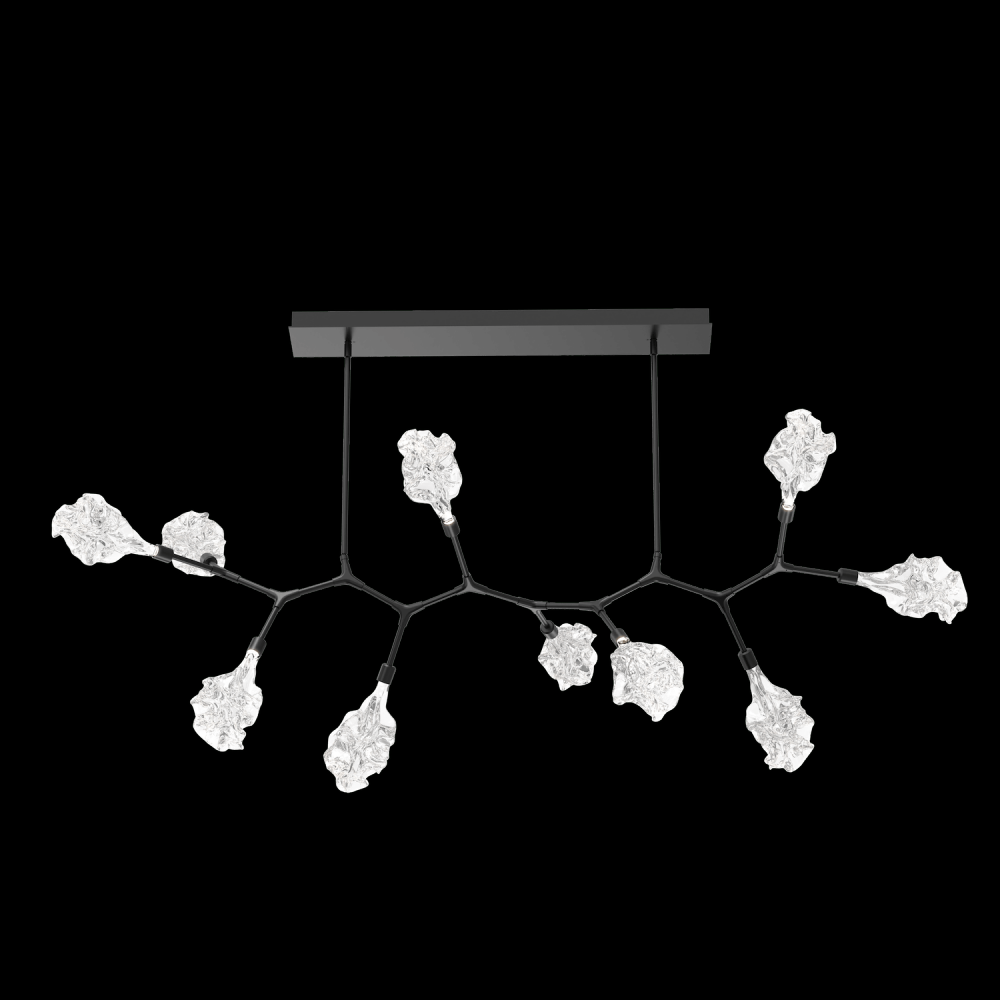 Blossom 10pc Branch-Matte Black-Blossom Clear Blown Glass