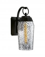 Norwell 1266-MB-IG - Lyrids Outdoor Wall Light