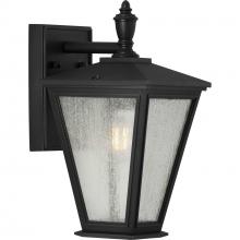 Progress P560166-031 - Cardiff Collection One-Light Small Wall Lantern with DURASHIELD