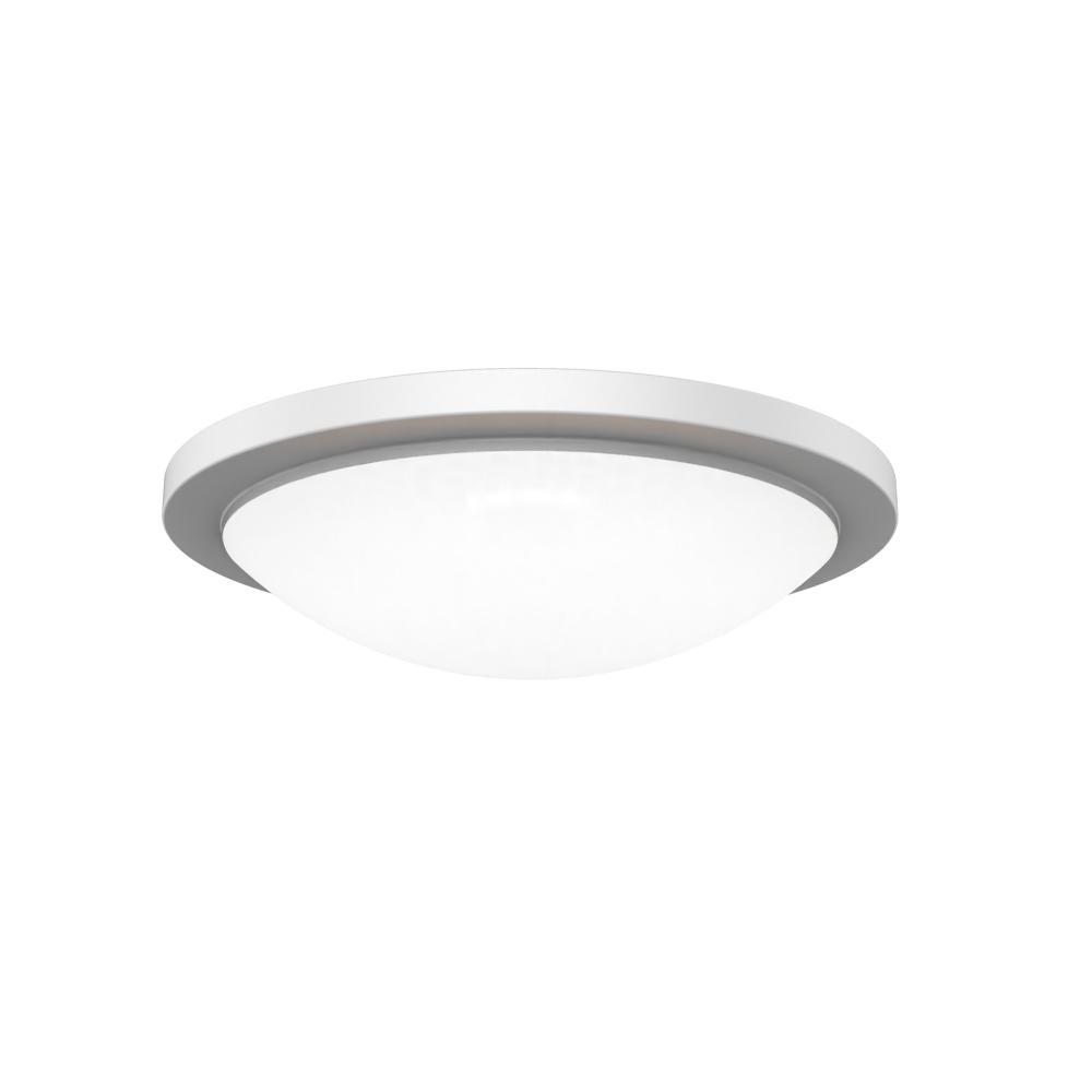 Dew 18&#34; Flush Mount 5CCT