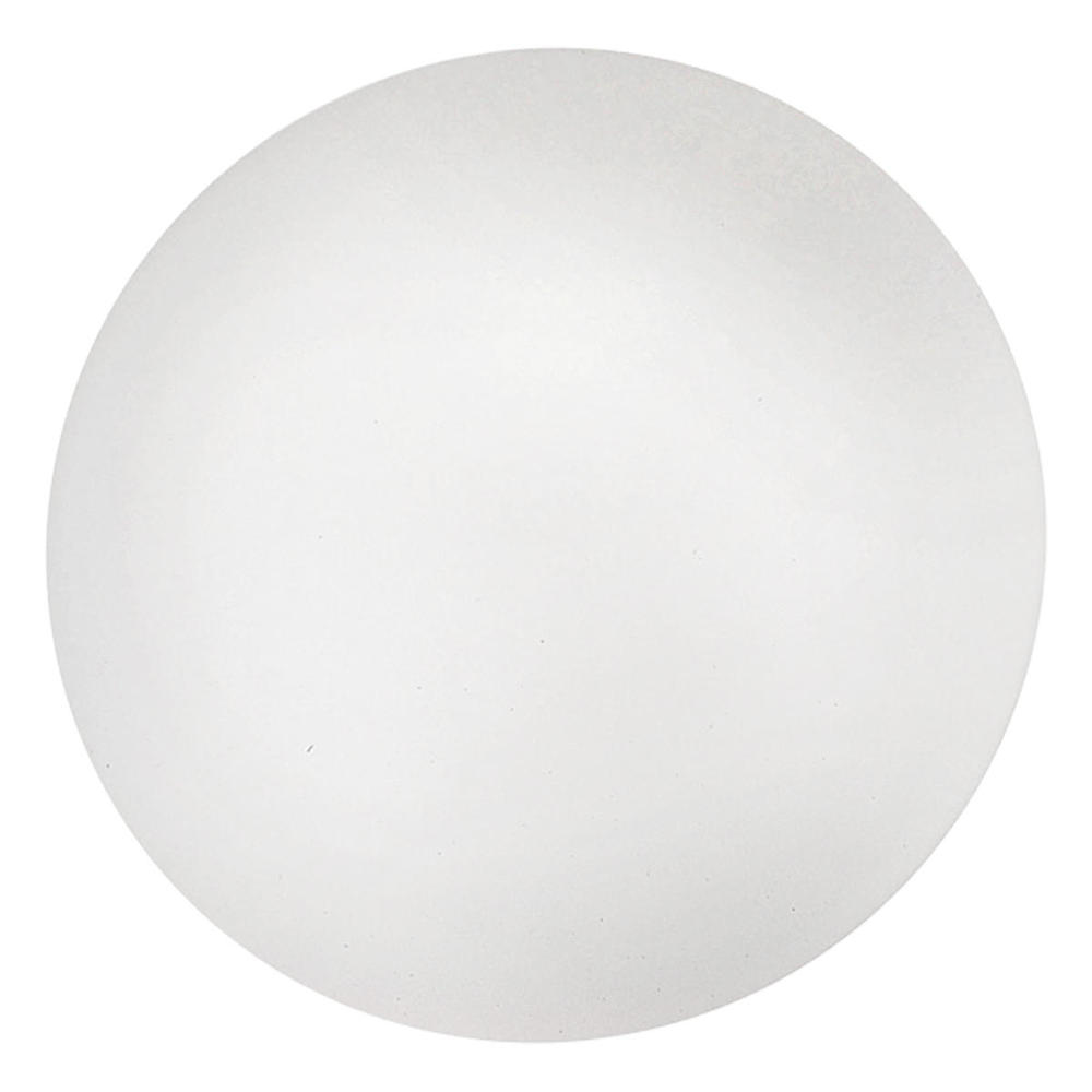2x60W Ceiling Light w/ White Finish & Opal Glass