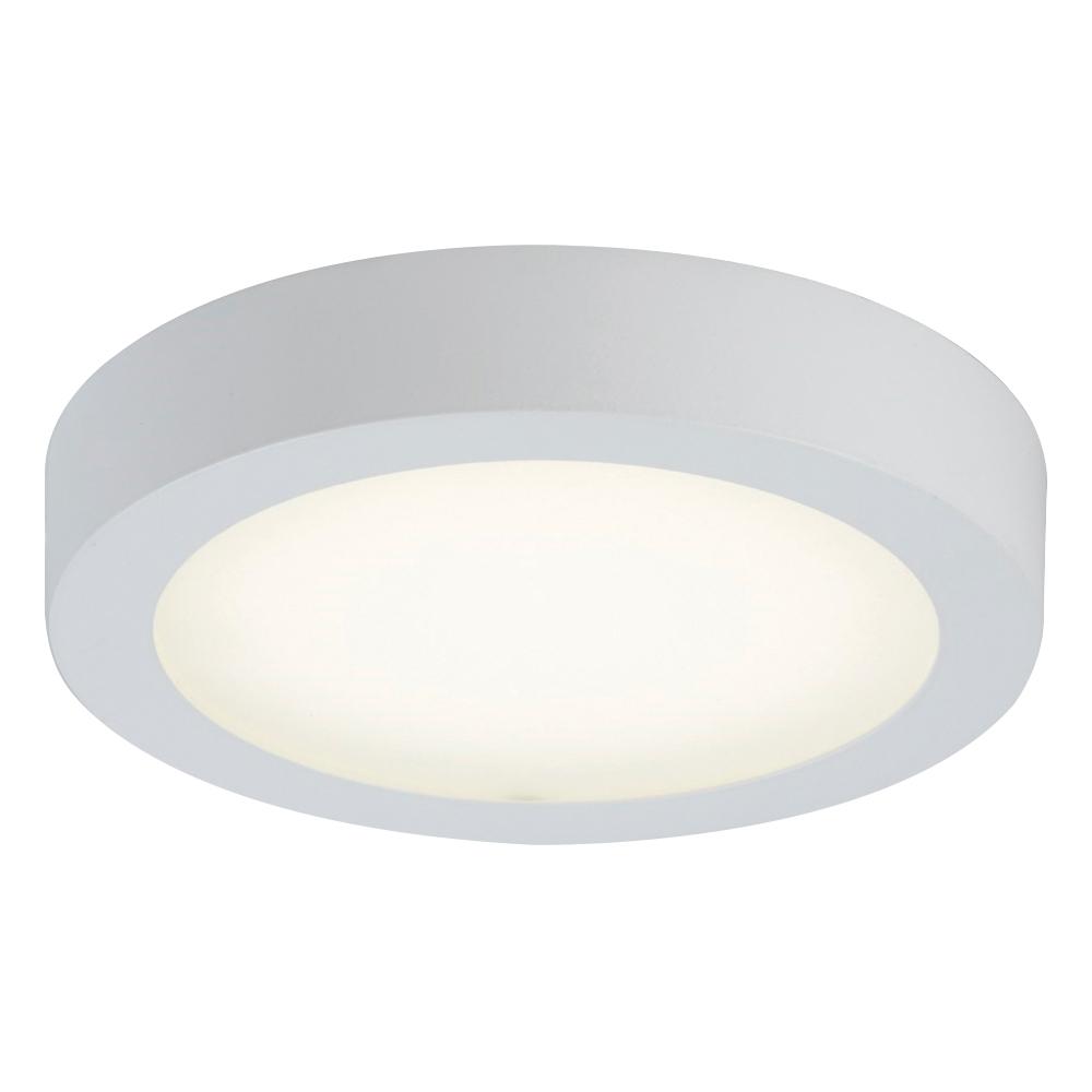 PLC1 Single ceiling light from the Float collection