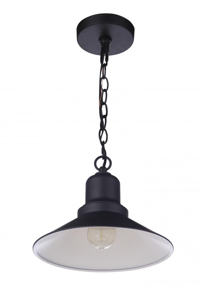 Singleton 1 Light 11&#34; Outdoor Pendant in Midnight