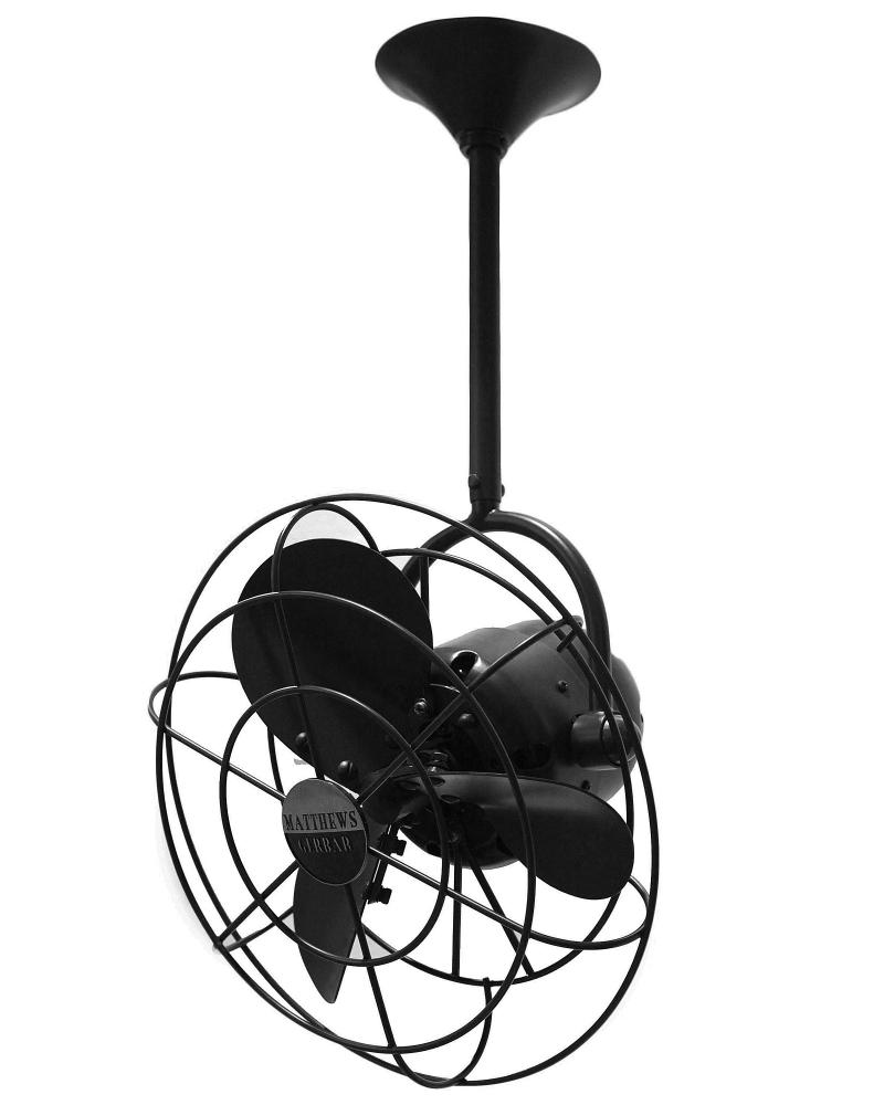 Bianca Direcional ceiling fan in Matte Black finish with metal blades.