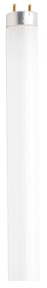 40 Watt; T8; Fluorescent; 3500K Neutral White; 75 CRI; Medium Bi Pin base; Shatter Proof
