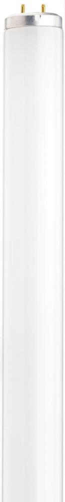 30 Watt; T12; Fluorescent; 6500K Daylight; 76 CRI; Medium Bi Pin base; Shatter Proof