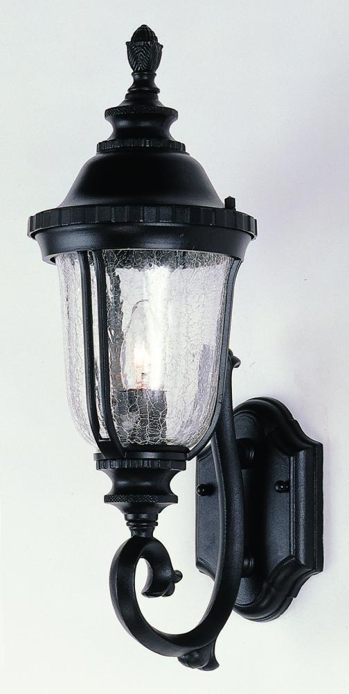 Chessie 20-In. 1-Light Crackle Glass Armed Wall Lantern