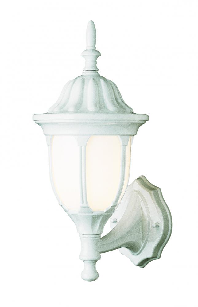 Hamilton 1-Light Opal Glass Traditional Outdoor Wall Lantern