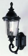 Trans Globe 4021 RT - Chessie 20-In. 1-Light Crackle Glass Armed Wall Lantern