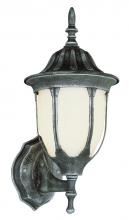 Trans Globe 4040 BG - Hamilton 1-Light Opal Glass Traditional Outdoor Wall Lantern