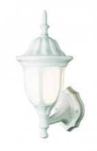 Trans Globe 4041 WH - Hamilton 1-Light Opal Glass Traditional Outdoor Wall Lantern