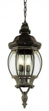 Trans Globe 4067 SWI - Parsons 4-Light Traditional French-inspired Outdoor Hanging Lantern Pendant with Chain