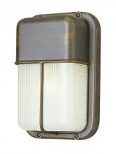 Trans Globe 41103 WH - Well 10-In. Outdoor Pocket Lantern