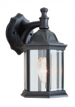 Trans Globe 4349 BK - Cumberland 12.5" Wall Lantern