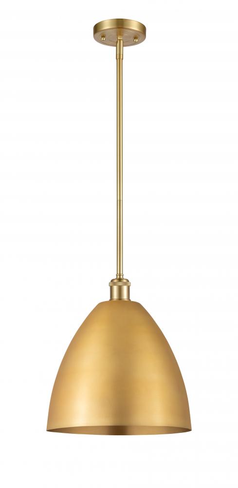 Bristol - 1 Light - 12 inch - Satin Gold - Pendant