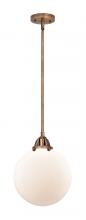 Innovations Lighting 288-1S-AC-G201-10 - Beacon - 1 Light - 10 inch - Antique Copper - Cord hung - Mini Pendant