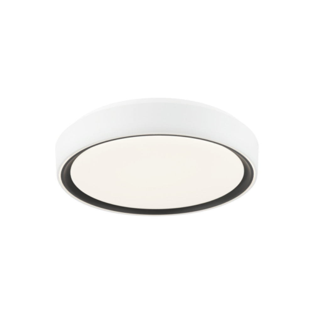 Alamus Ceiling Mount