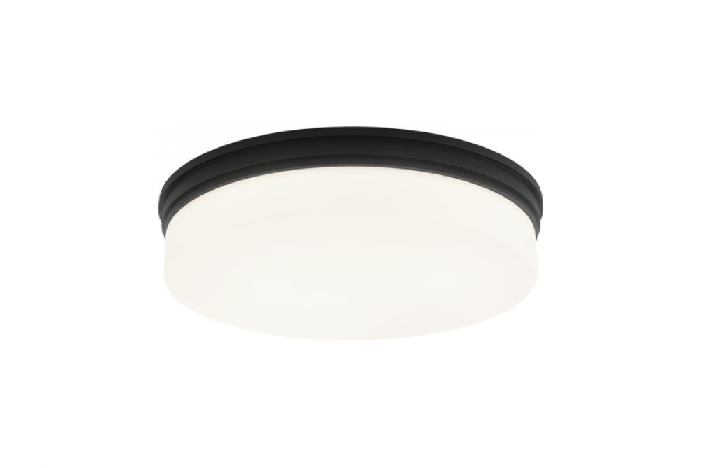 Circian Matte Black Flush Mounts
