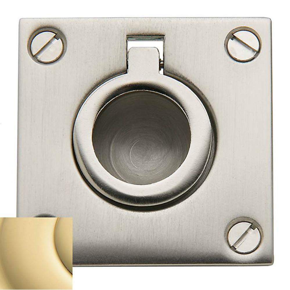 0393 FLUSH RING PULL 031