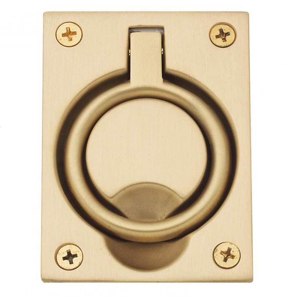 0395 FLUSH RING PULL 044