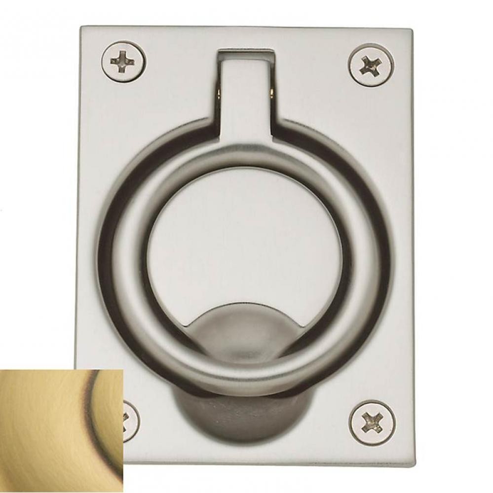 0395 FLUSH RING PULL 060