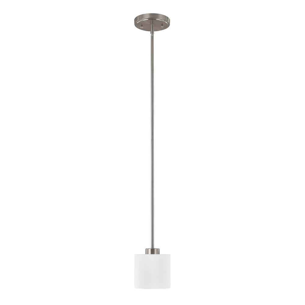 1 Light Mini Pendant