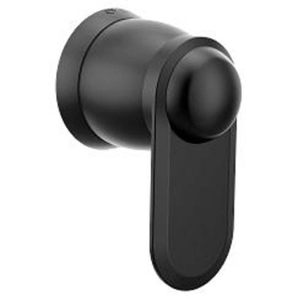 Matte black volume control