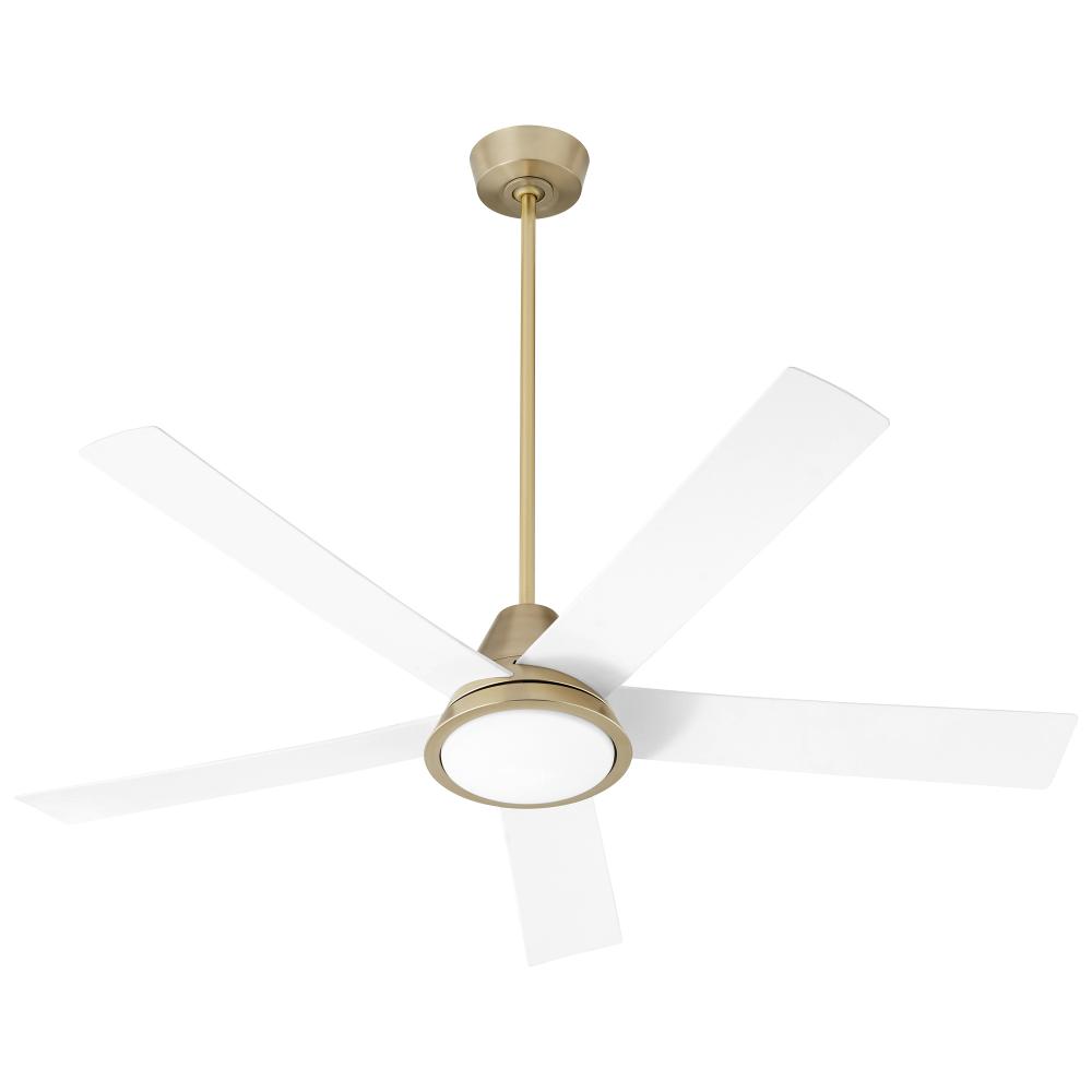 TEMPLE 56&#34;DAMP FAN-AGB/WH