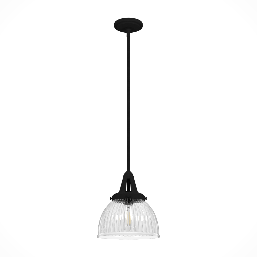 Hunter Cypress Grove Natural Black Iron with Clear Holophane Glass 1 Light Pendant Ceiling Light Fix