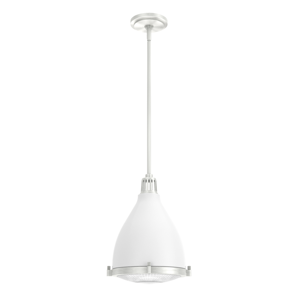 Hunter Bluff View Fresh White and Brushed Nickel with Clear Holophane Glass 1 Light Pendant Ceiling