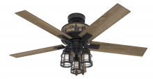 Hunter 50169 - Hunter 52 inch Vista Natural Black Iron Ceiling Fan with LED Light Kit and Pull Chain