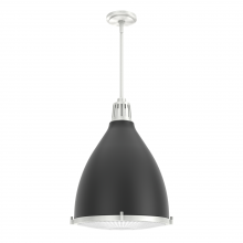 Hunter 19215 - Hunter Bluff View Flat Matte Black and Brushed Nickel with Clear Holophane Glass 3 Light Pendant Cei