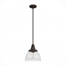 Hunter 19248 - Hunter Cypress Grove Onyx Bengal with Clear Holophane Glass 1 Light Pendant Ceiling Light Fixture