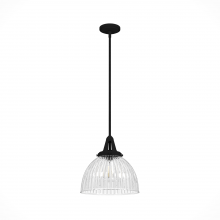 Hunter 19249 - Hunter Cypress Grove Natural Black Iron with Clear Holophane Glass 1 Light Pendant Ceiling Light Fix