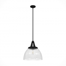 Hunter 19251 - Hunter Cypress Grove Natural Black Iron with Clear Holophane Glass 1 Light Pendant Ceiling Light Fix