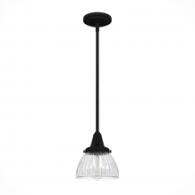 Hunter 19229 - Hunter Cypress Grove Natural Black Iron with Clear Holophane Glass 1 Light Pendant Ceiling Light Fix