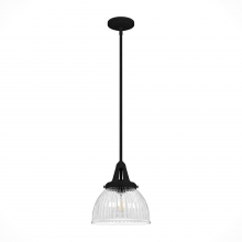 Hunter 19247 - Hunter Cypress Grove Natural Black Iron with Clear Holophane Glass 1 Light Pendant Ceiling Light Fix