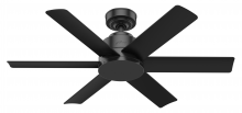 Hunter 59613 - Hunter 44 inch Kennicott Matte Black Damp Rated Ceiling Fan and Wall Control