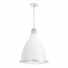 Hunter 19216 - Hunter Bluff View Fresh White and Brushed Nickel with Clear Holophane Glass 3 Light Pendant Ceiling