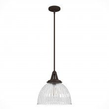 Hunter 19250 - Hunter Cypress Grove Onyx Bengal with Clear Holophane Glass 1 Light Pendant Ceiling Light Fixture