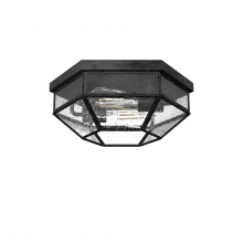 Hunter 19115 - Hunter Indria Rustic Iron with Seeded Glass 2 Light Flush Mount Ceiling Light Fixture