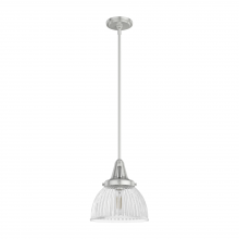 Hunter 19328 - Hunter Cypress Grove Brushed Nickel with Clear Holophane Glass 1 Light Pendant Ceiling Light Fixture