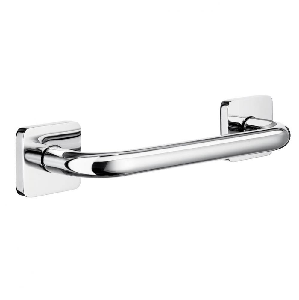 ICE Grab Bar