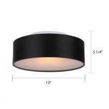 Canarm IFM318A13BK - Dexter 2 Light Flush Mount, Black Finish