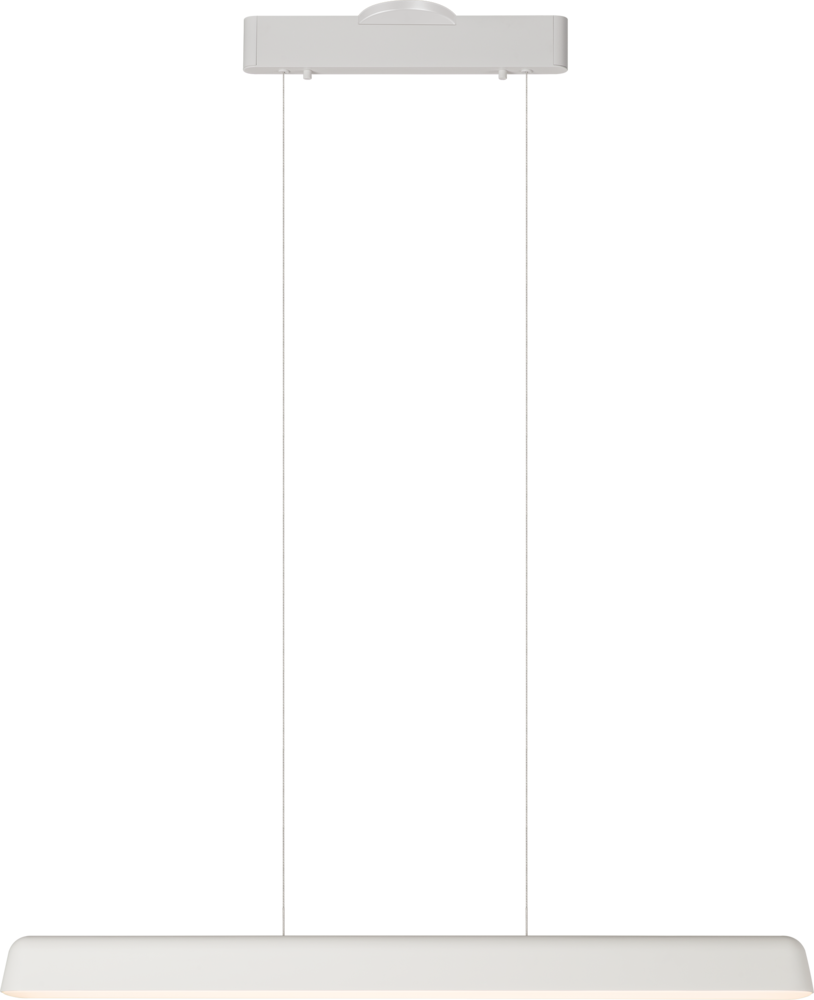 Enso Single Light Pendant